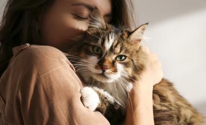 gettyimages-1198100351.jpg Felpreva cat