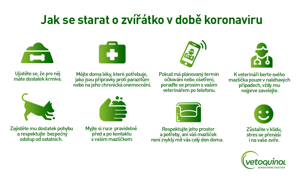 domaci zvirata v dobe koronaviru