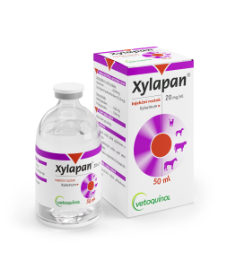 Xylapan